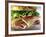 Close-up of Sandwich-ATU Studios-Framed Photographic Print