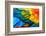 Close up of Scarlet Macaw Bird's Feathers-Narupon Nimpaiboon-Framed Photographic Print