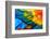 Close up of Scarlet Macaw Bird's Feathers-Narupon Nimpaiboon-Framed Photographic Print