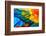 Close up of Scarlet Macaw Bird's Feathers-Narupon Nimpaiboon-Framed Photographic Print