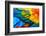 Close up of Scarlet Macaw Bird's Feathers-Narupon Nimpaiboon-Framed Photographic Print