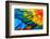 Close up of Scarlet Macaw Bird's Feathers-Narupon Nimpaiboon-Framed Photographic Print