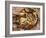 Close-up of Seafood Platter, Puerto Vallarta, Mexico-Merrill Images-Framed Photographic Print