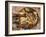 Close-up of Seafood Platter, Puerto Vallarta, Mexico-Merrill Images-Framed Photographic Print