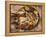 Close-up of Seafood Platter, Puerto Vallarta, Mexico-Merrill Images-Framed Premier Image Canvas