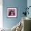 Close-Up Of Shih Tzu In Pink, 2 Years Old, In Front Of Pink Background-Life on White-Framed Photographic Print displayed on a wall