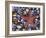 Close-Up of Starfish and Clam Shells, Hood Canal, Seabeck, Washington, USA-Don Paulson-Framed Photographic Print