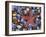 Close-Up of Starfish and Clam Shells, Hood Canal, Seabeck, Washington, USA-Don Paulson-Framed Photographic Print