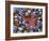 Close-Up of Starfish and Clam Shells, Hood Canal, Seabeck, Washington, USA-Don Paulson-Framed Photographic Print