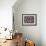 Close-Up of Starfish and Clam Shells, Hood Canal, Seabeck, Washington, USA-Don Paulson-Framed Photographic Print displayed on a wall