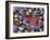 Close-Up of Starfish and Clam Shells, Hood Canal, Seabeck, Washington, USA-Don Paulson-Framed Photographic Print