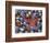 Close-Up of Starfish and Clam Shells, Hood Canal, Seabeck, Washington, USA-Don Paulson-Framed Photographic Print