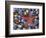 Close-Up of Starfish and Clam Shells, Hood Canal, Seabeck, Washington, USA-Don Paulson-Framed Photographic Print