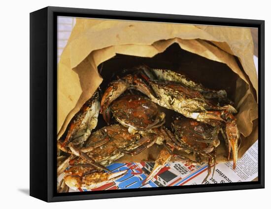 Close-up of Steamed Crabs in a Paper Bag, Maryland, USA-null-Framed Premier Image Canvas