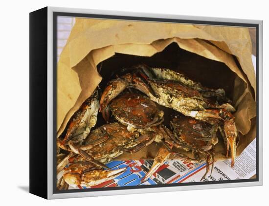 Close-up of Steamed Crabs in a Paper Bag, Maryland, USA-null-Framed Premier Image Canvas