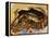 Close-up of Steamed Crabs in a Paper Bag, Maryland, USA-null-Framed Premier Image Canvas