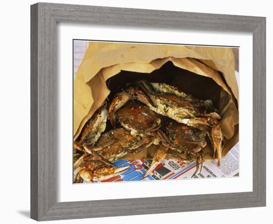 Close-up of Steamed Crabs in a Paper Bag, Maryland, USA-null-Framed Photographic Print