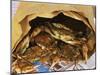 Close-up of Steamed Crabs in a Paper Bag, Maryland, USA-null-Mounted Photographic Print