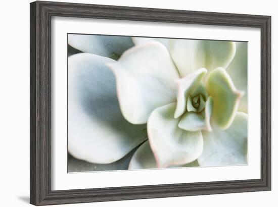 Close-up of Succulent Plant-Paivi Vikstrom-Framed Photographic Print