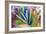 Close-up of succulent plants, San Diego, California, USA.-Stuart Westmorland-Framed Photographic Print