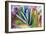 Close-up of succulent plants, San Diego, California, USA.-Stuart Westmorland-Framed Photographic Print