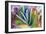 Close-up of succulent plants, San Diego, California, USA.-Stuart Westmorland-Framed Photographic Print