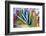 Close-up of succulent plants, San Diego, California, USA.-Stuart Westmorland-Framed Photographic Print