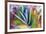 Close-up of succulent plants, San Diego, California, USA.-Stuart Westmorland-Framed Photographic Print