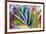 Close-up of succulent plants, San Diego, California, USA.-Stuart Westmorland-Framed Photographic Print