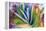 Close-up of succulent plants, San Diego, California, USA.-Stuart Westmorland-Framed Premier Image Canvas