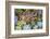 Close-up of succulent plants, San Diego, California, USA.-Stuart Westmorland-Framed Photographic Print