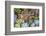 Close-up of succulent plants, San Diego, California, USA.-Stuart Westmorland-Framed Photographic Print