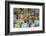 Close-up of succulent plants, San Diego, California, USA.-Stuart Westmorland-Framed Photographic Print