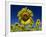 Close-Up of Sunflower in a Field of Flowers in Tuscany, Italy, Europe-Gavin Hellier-Framed Photographic Print