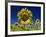 Close-Up of Sunflower in a Field of Flowers in Tuscany, Italy, Europe-Gavin Hellier-Framed Photographic Print