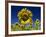 Close-Up of Sunflower in a Field of Flowers in Tuscany, Italy, Europe-Gavin Hellier-Framed Photographic Print