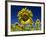Close-Up of Sunflower in a Field of Flowers in Tuscany, Italy, Europe-Gavin Hellier-Framed Photographic Print