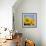 Close-Up of Sunflowers in Italy, Europe-Tony Gervis-Framed Photographic Print displayed on a wall