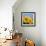 Close-Up of Sunflowers in Italy, Europe-Tony Gervis-Framed Photographic Print displayed on a wall