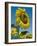 Close-Up of Sunflowers-Adam Woolfitt-Framed Photographic Print