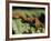 Close-up of Tarantula on Fern, Madagascar-Daisy Gilardini-Framed Photographic Print