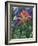 Close-up of Texas Paintbrush, Hill Country, Texas, USA-Adam Jones-Framed Photographic Print