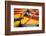 Close Up of the Colourful Wooden Boats at the Floating Gardens in Xochimilco-John Woodworth-Framed Photographic Print