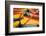 Close Up of the Colourful Wooden Boats at the Floating Gardens in Xochimilco-John Woodworth-Framed Photographic Print