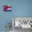 Close-up of the Cuban Flag, Havana, Cuba-Gavin Hellier-Photographic Print displayed on a wall