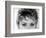 Close Up of the Eyes of Actress Sophia Loren-Alfred Eisenstaedt-Framed Photographic Print