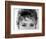 Close Up of the Eyes of Actress Sophia Loren-Alfred Eisenstaedt-Framed Photographic Print