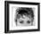 Close Up of the Eyes of Actress Sophia Loren-Alfred Eisenstaedt-Framed Photographic Print