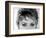 Close Up of the Eyes of Actress Sophia Loren-Alfred Eisenstaedt-Framed Photographic Print