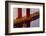 Close-Up of the Golden Gate Bridge-Miles-Framed Photographic Print